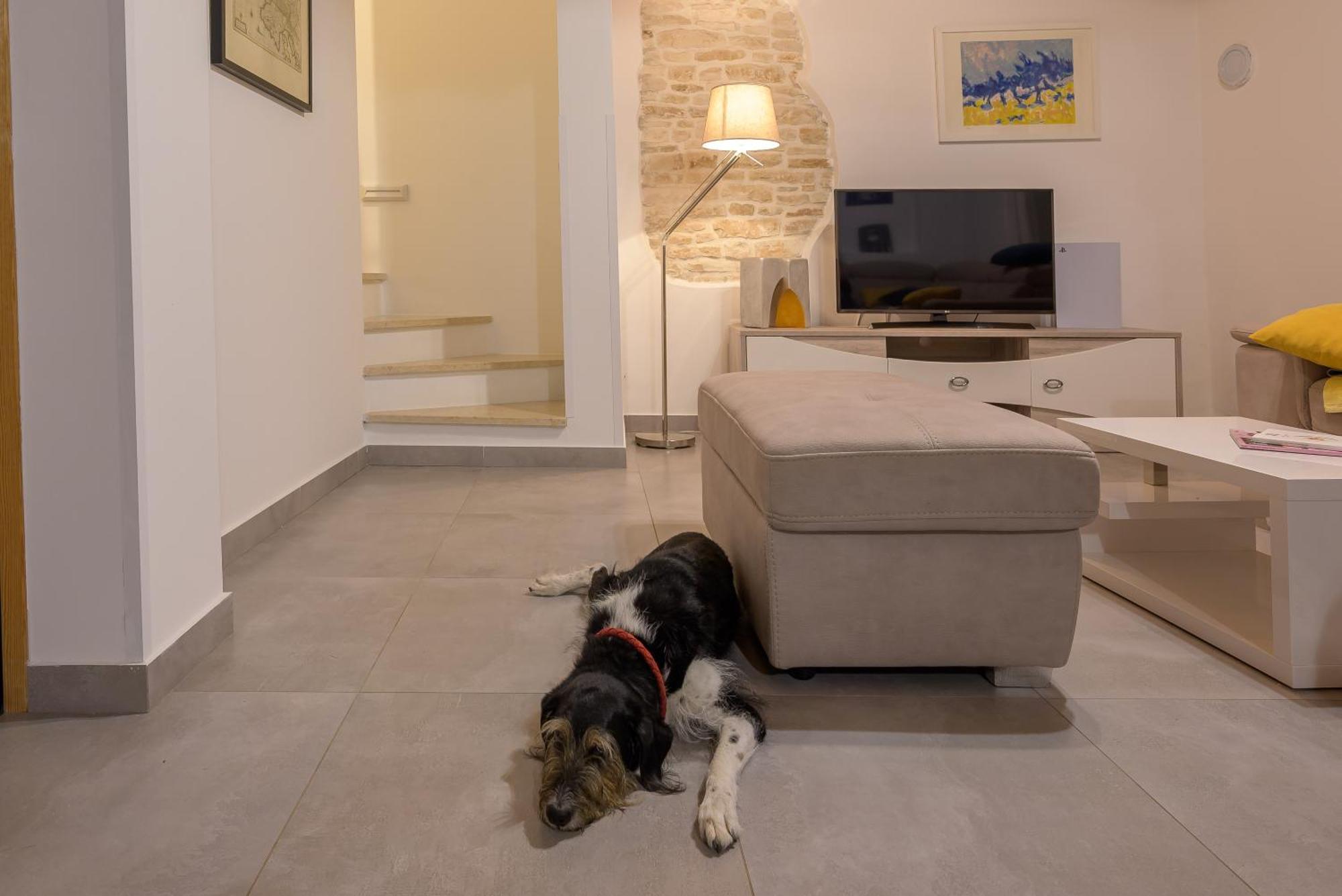 Villa Azinetti Štokovci Extérieur photo